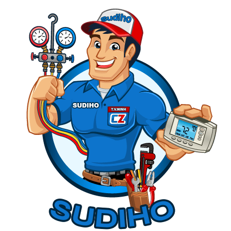 Giới thiệu công ty Sudiho