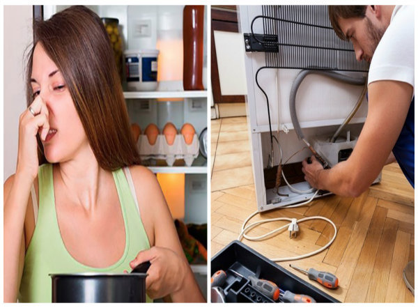 Nguyên Nhân & Cách Khắc Phục Tủ Lạnh Bị Rò Rỉ Gas – Đừng Bỏ Lỡ!